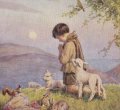 Carte postale ancienne＊Tarrant＊祈りを捧げる少年と動物たち<img class='new_mark_img2' src='https://img.shop-pro.jp/img/new/icons48.gif' style='border:none;display:inline;margin:0px;padding:0px;width:auto;' />