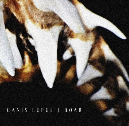 CANIS LUPUS ROAR (完全未発表ライヴ盤) - FOOL'S MATE WEB SHOP