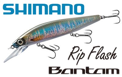 SHIMANO/バンタム リップフラッシュ 115FMD - HONEYSPOT