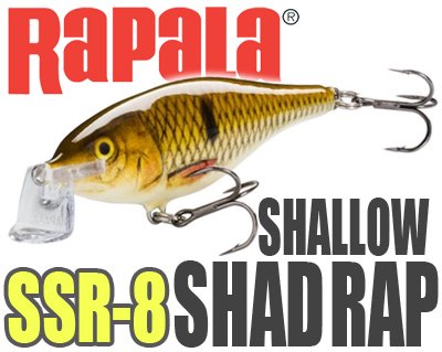 Rapala /Shallow Shad RAP 【SSR-8】 【限定復刻】 - HONEYSPOT
