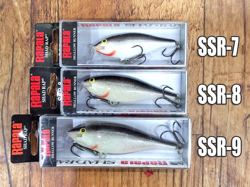 Rapala /Shallow Shad RAP 【SSR-8】 【限定復刻】 - HONEYSPOT