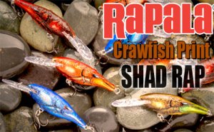 Rapala/SHAD RAP 【日本未発売 Crawfish color】