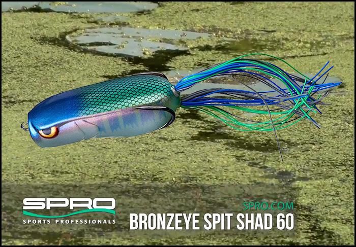SPRO/ブロンズアイ スピットシャッド60 SPIT SHAD 60