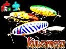 ハニースポット釣具・バス釣りグッズオンラインショップ
