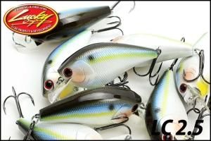 ラッキークラフトUSA/LC 1.5 - HONEYSPOT