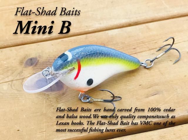 Flat Shad Baits フラットシャッドベイツ クランクベイトセット - ルアー・フライ