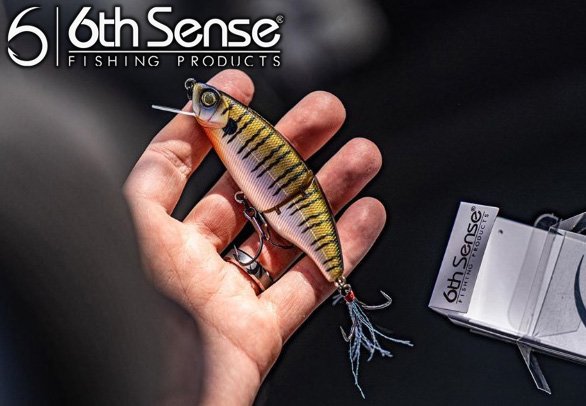 6th Sense fishing/Hybrid Swim Crank - HONEYSPOT