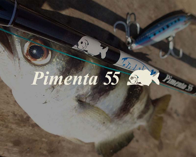 ピメンタ55  ツララ　ボンバダアグア　ビッグベイト　トップウォーター釣り竿ロッドルアーロッド