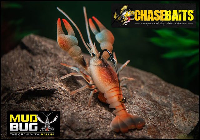 The MudBug - Life-like Craw Lure in Action!