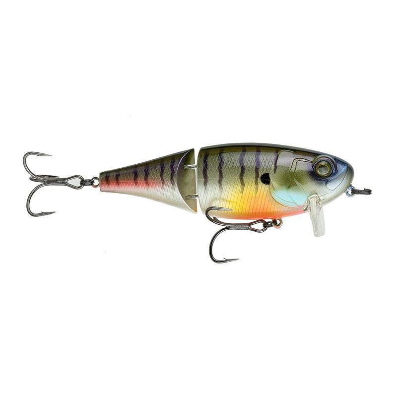 Amazon.co.jp: ムカイフィッシング 魚木 ファンガー 3点セット