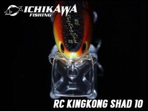 イチカワフィッシング/RC キングコングシャッド 10