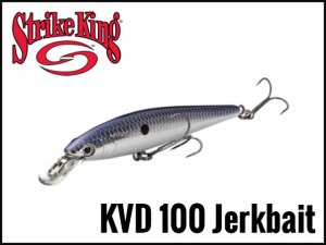 StrikeKing/KVD 100 Jerkbait