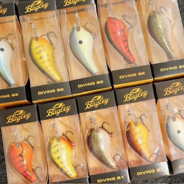 バグリー/バルサ ダイビングB1 [new model] - HONEYSPOT