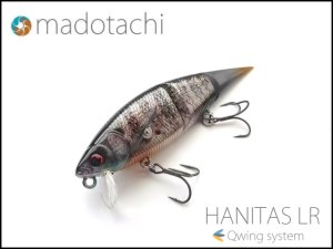 madotachi(ハニタス) - HONEYSPOT