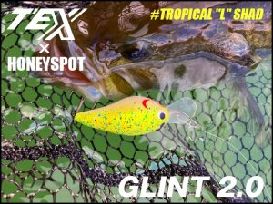 TEX × HONEYSPOT/GLINT 2.0 [#TROPICAL 