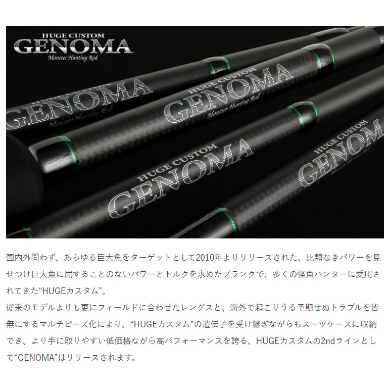 予約販売】デプス/ヒュージカスタム GENOMA（ジェノマ）HG3-65F [3ピース]【受注生産】