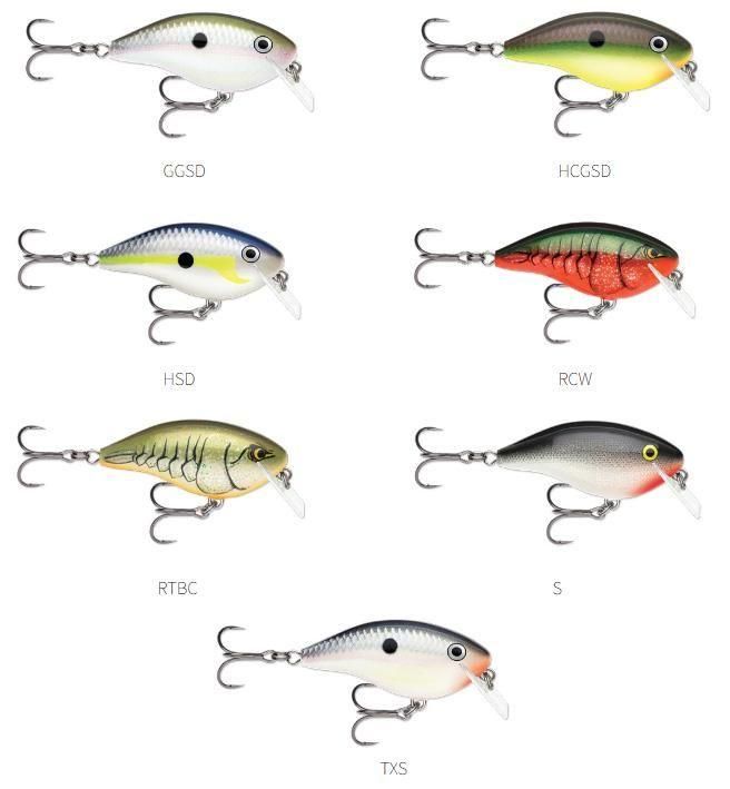 ラパラ/OG ビッグ ロッコ6 - HONEYSPOT