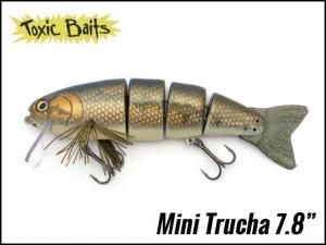 Toxic Baits/Trucha Masu 9.4inch - HONEYSPOT
