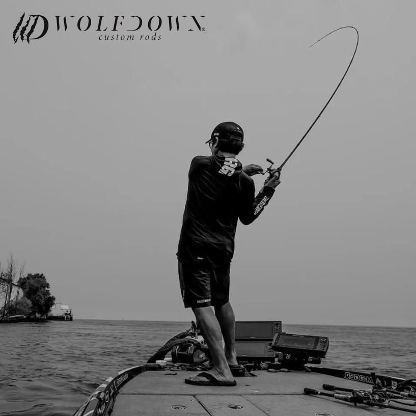 ウルフダウン/WDS-70MLST - HONEYSPOT