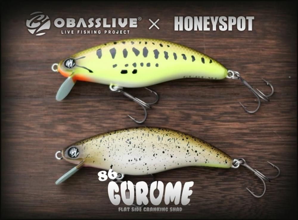 Kohaku　salt+grape-500（値引き) obasslive × HONEYSPOT/GURUME 86 SR/SMR - HONEYSPOT