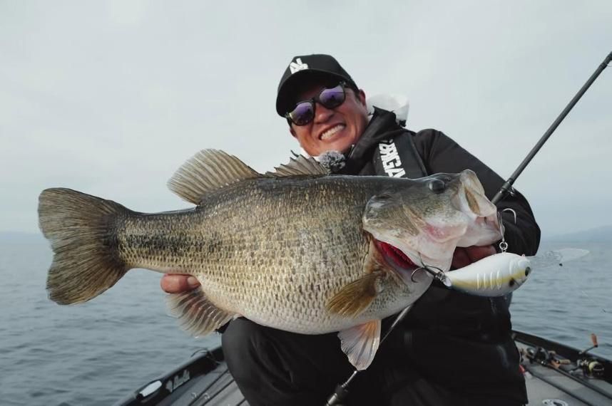 デプス/コリガンブレイク800 - HONEYSPOT