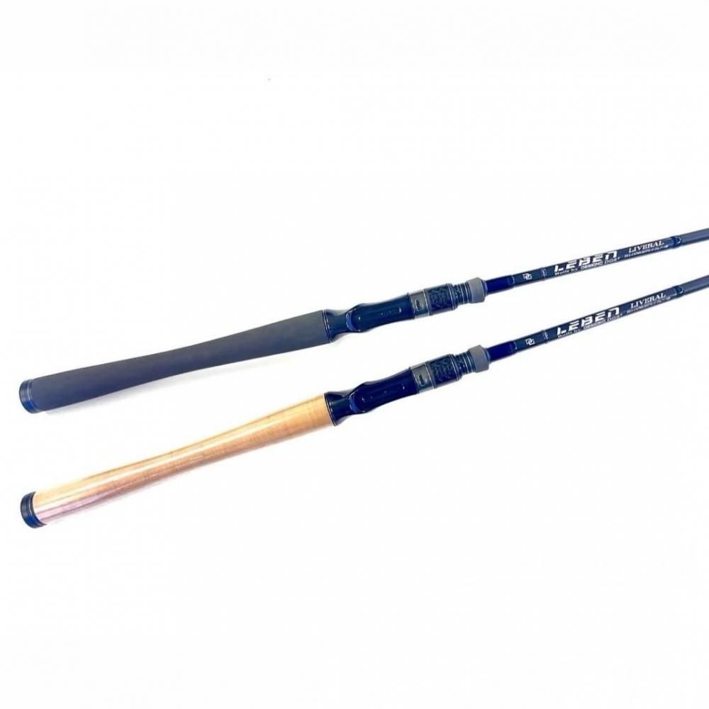 予約販売】デジーノ/レーベン リベラル [DLL-C67MLRST1s] 【25年