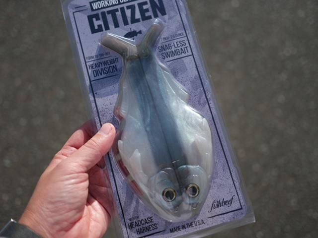 WCZ×DRT/CITIZEN 7 [#Lake Shad] [2本パック] - HONEYSPOT