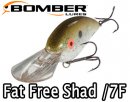BOMBER/Fat Free Shad /7F