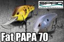 SPRO/Fat PAPA　70