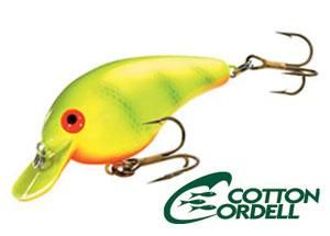 cotton cordell - HONEYSPOT