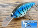 Tennessee Tuffy/ PT-4
