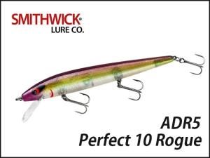 SMITHWICK/Perfect 10 Rogue ѡե 10 