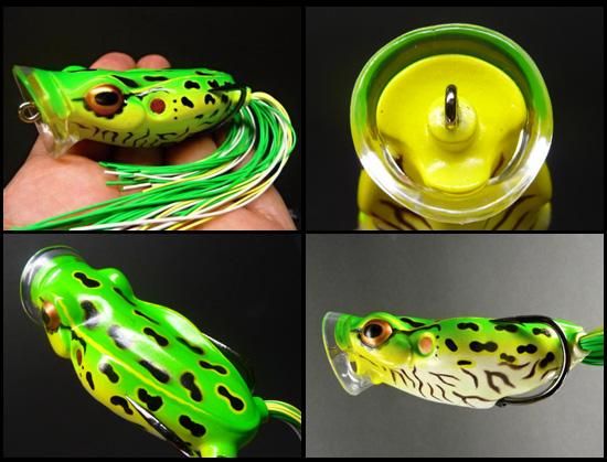 Tei　シーフロッグ　2点 Tei シーフロッグ 2点 Tei シーフロッグ 2点 スティーズ チキータ