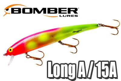 BOMBER/ Long A/15A - HONEYSPOT