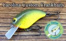 Carolina Custom Crankbaits/Square J  Rootbeer