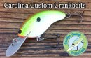 Carolina Custom Crankbaits/Carolina Shad  Horton