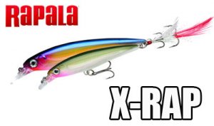 Rapala/ X-RAP 【XR-8　・　XR-10】