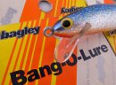 Bagley/Spinner Tail Bang-O ץǥ