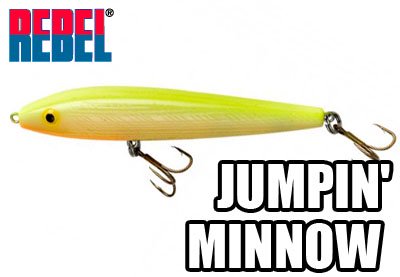 Rebel Lures T1000 Jumpin' Minnow Fishing Lure, Bone, 3 1/2-Inch, 3