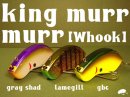 六度九分/King murr murr 【W hook】