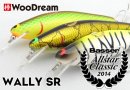 WooDream/WALLY SR Basser Allstar Classic 2014 ꥫ顼