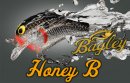 Bagley/Honey B1ڿ﫥ǥ