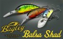 Bagley/Balsa Shad