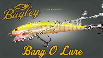 Bagley/Bang-O Lure - HONEYSPOT