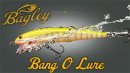 Bagley/Bang-O　Lure
