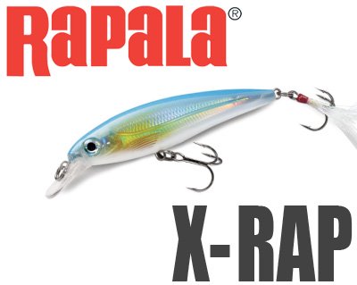 Rapala/ X-RAP 【XR-6】 - HONEYSPOT