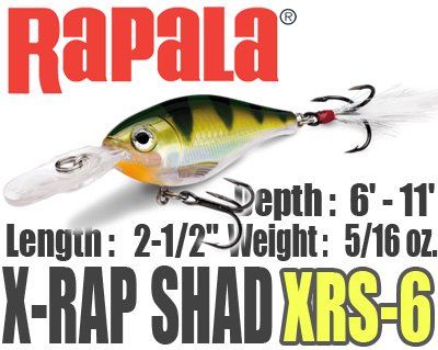 Rapala/ X-RAP SHAD 【XRS-6】 - HONEYSPOT