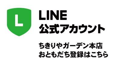 LINEŹȤϿϤХʡ