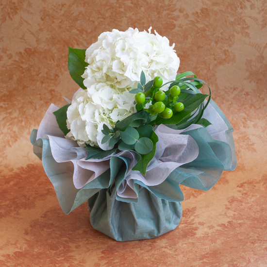 <img class='new_mark_img1' src='https://img.shop-pro.jp/img/new/icons1.gif' style='border:none;display:inline;margin:0px;padding:0px;width:auto;' />֡Monthly FlowerΥǥ󥰥֡