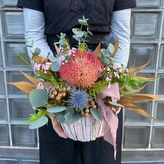 <img class='new_mark_img1' src='https://img.shop-pro.jp/img/new/icons27.gif' style='border:none;display:inline;margin:0px;padding:0px;width:auto;' />À¸²Ö¡¦¥Í¥¤¥Æ¥£¥Ö¥¢¥ì¥ó¥¸